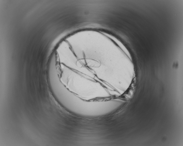 X0000113001326200910081149