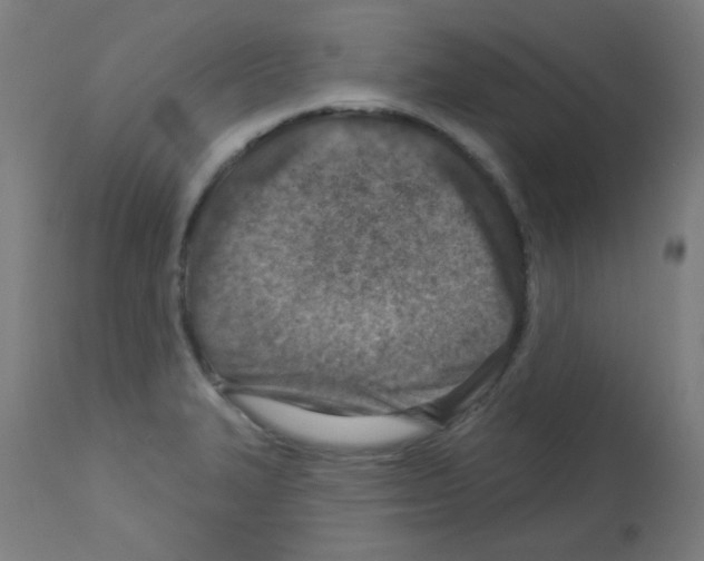 X0000113001327200910081149