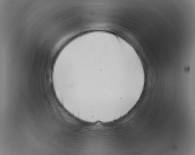 X0000113001328200910081149