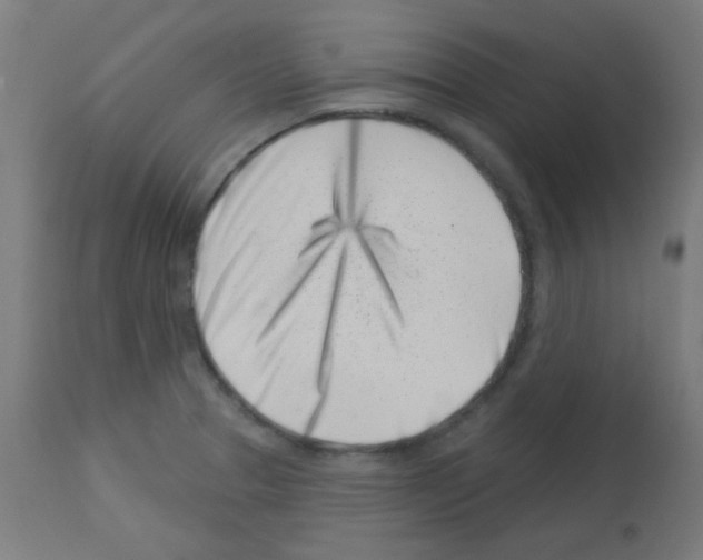 X0000113001329200910081149