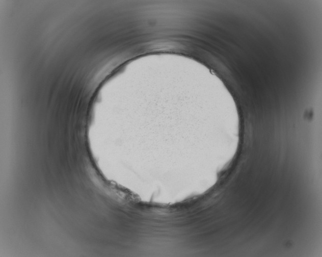 X0000113001330200910081149