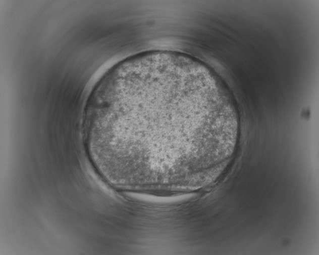 X0000113001331200910081149