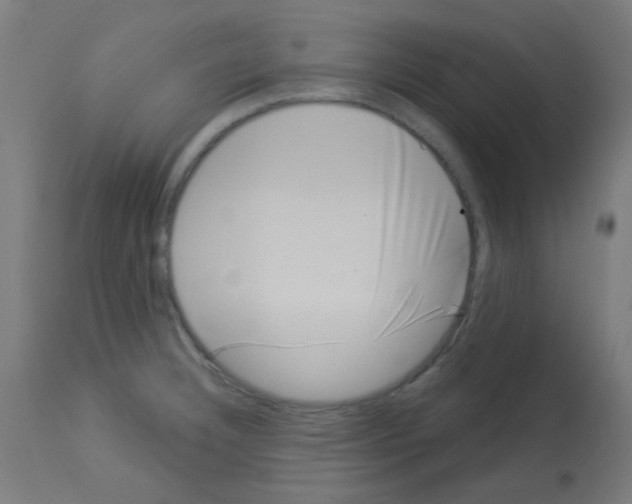 X0000113001332200910081149