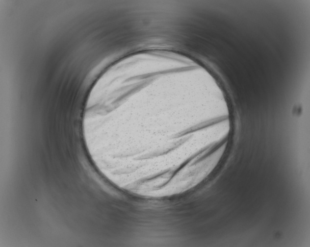 X0000113001333200910081149