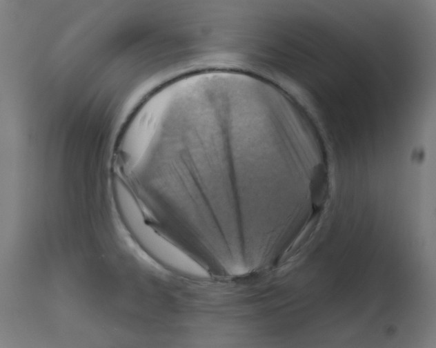 X0000113001334200910081149