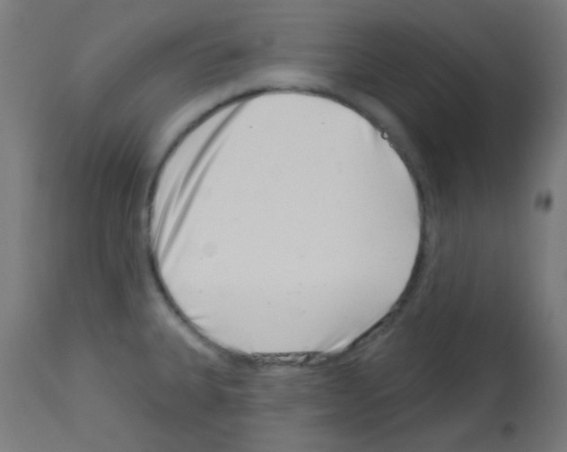 X0000113001335200910081149