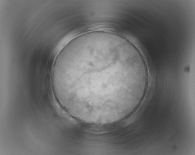 X0000113001338200910081149