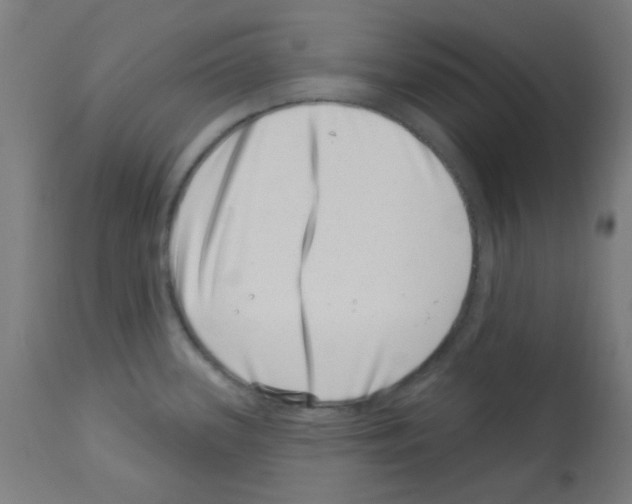 X0000113001339200910081149