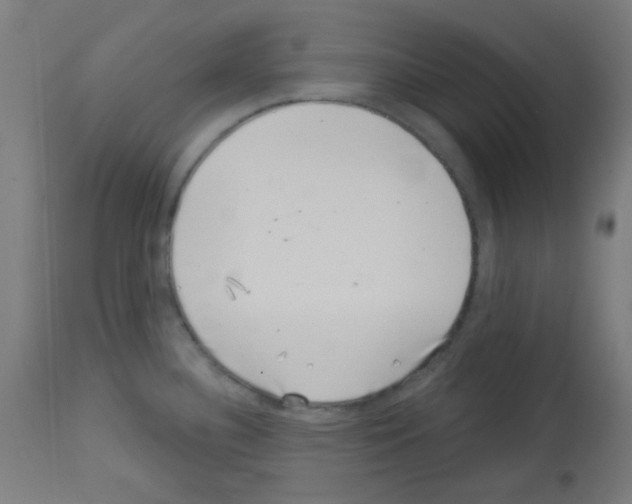 X0000113001340200910081149