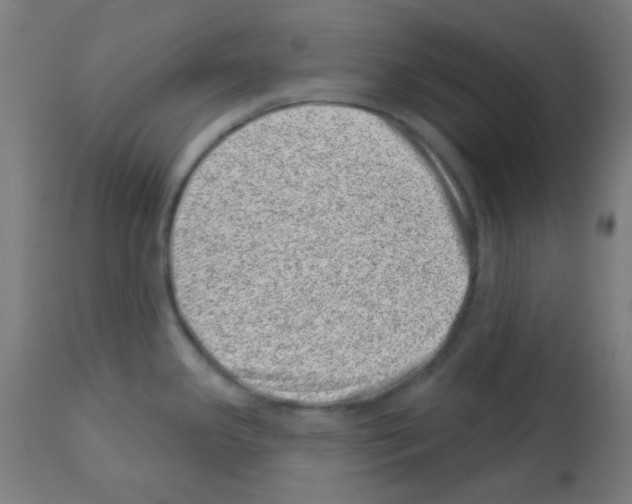 X0000113001341200910081149