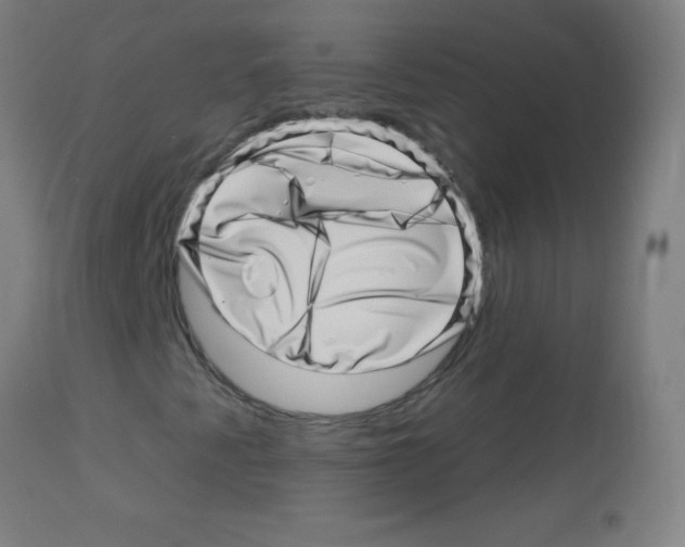 X0000113001345200910081148