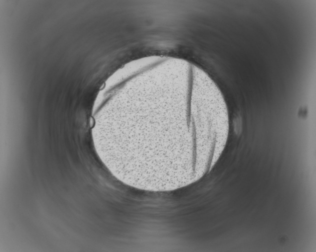 X0000113001347200910081148