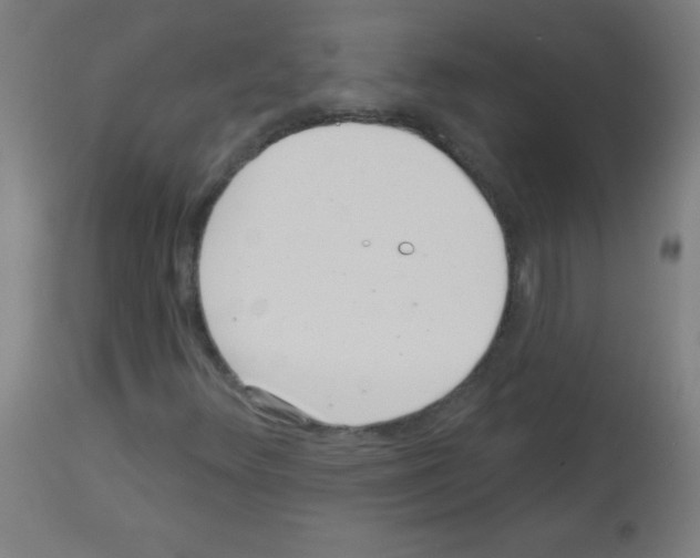 X0000113001348200910081148