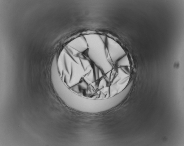 X0000113001349200910081148