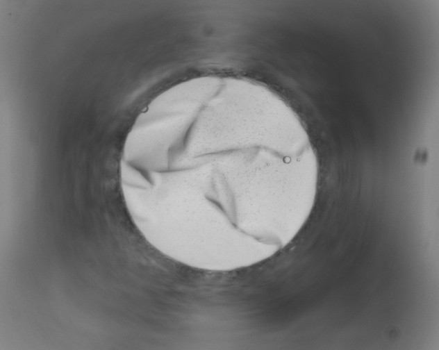 X0000113001350200910081148