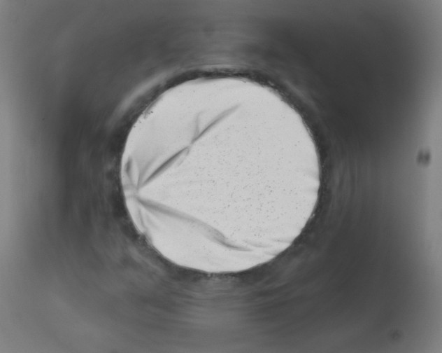 X0000113001351200910081148