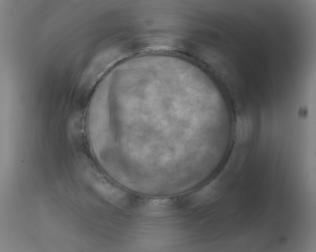 X0000113001353200910081148