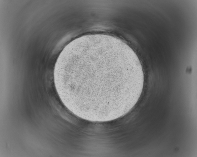 X0000113001355200910081148