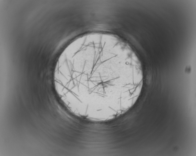 X0000113001356200910081148