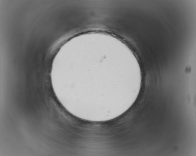 X0000113001359200910081148