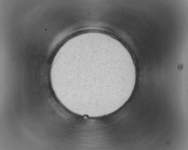 X0000113001360200910081148