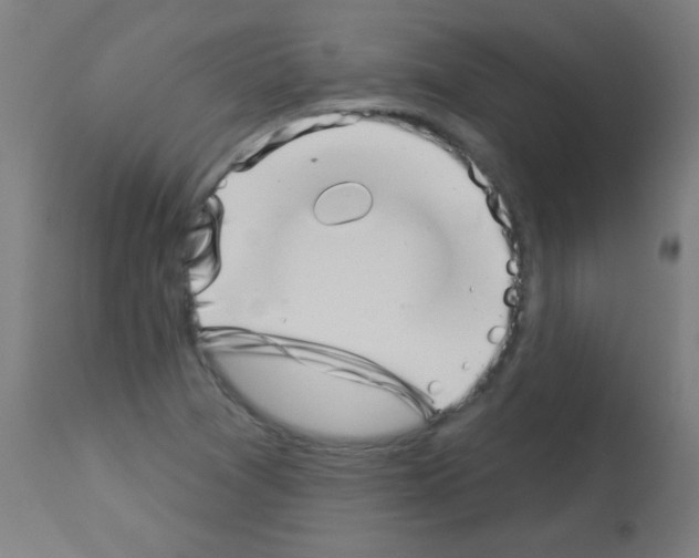 X0000113001361200910081148