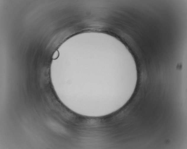 X0000113001362200910081147