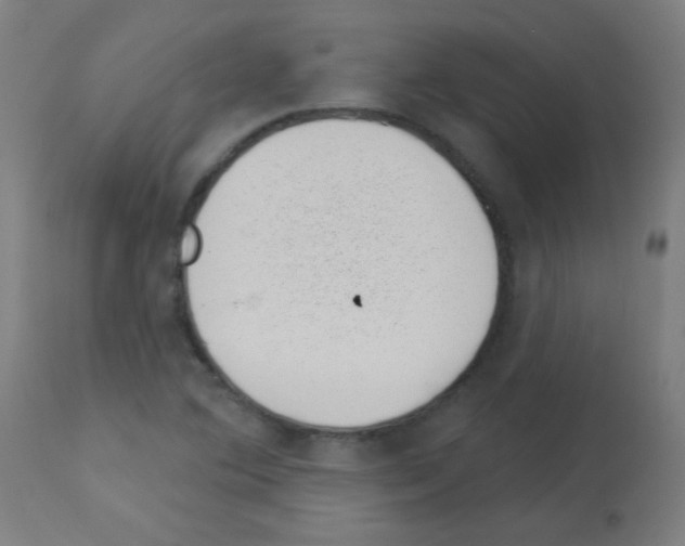 X0000113001364200910081147