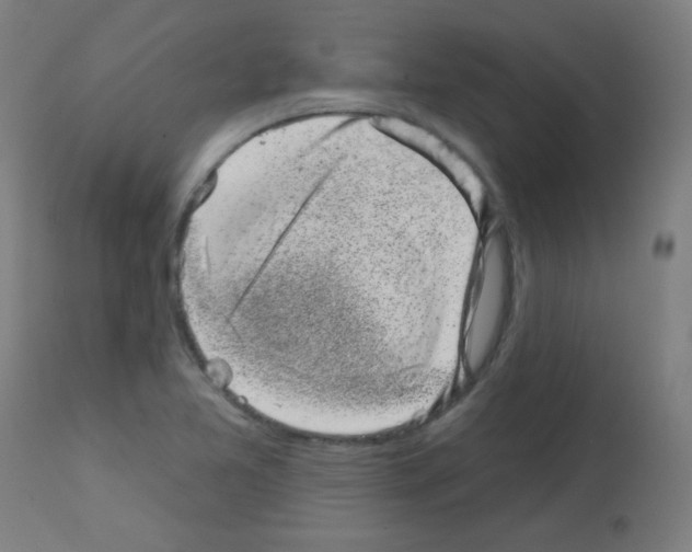 X0000113001365200910081147