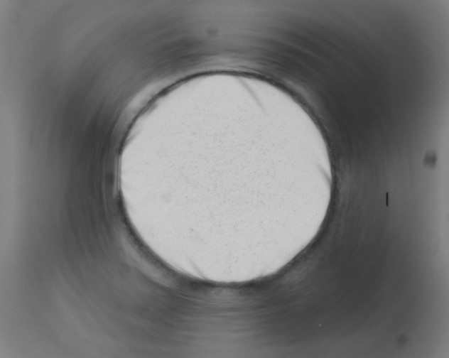 X0000113001371200910081147