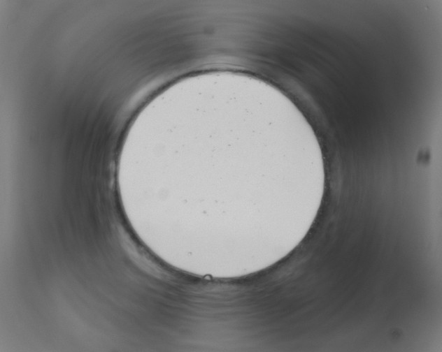 X0000113001372200910081147