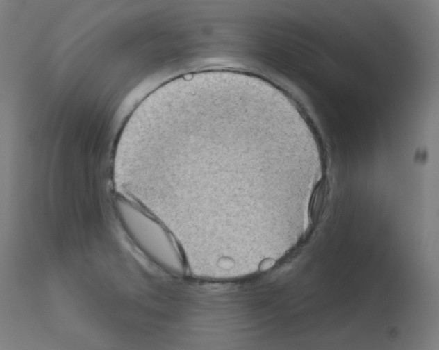 X0000113001373200910081147