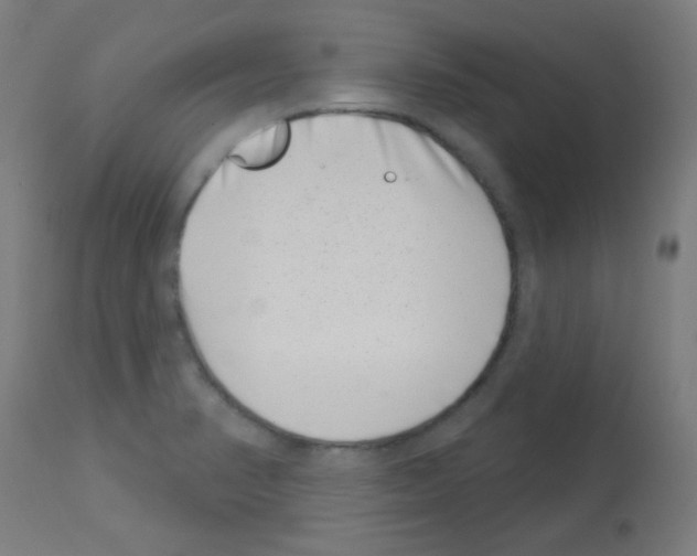 X0000113001374200910081147