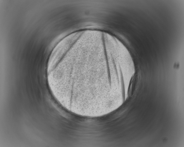 X0000113001375200910081147