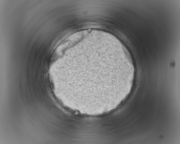 X0000113001377200910081147