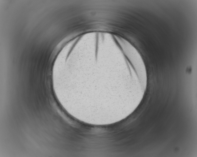 X0000113001379200910081147