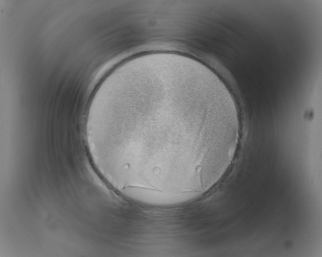 X0000113001380200910081147