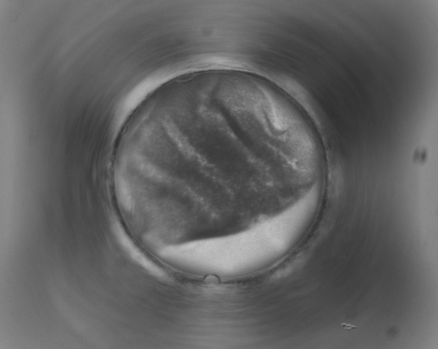 X0000113001381200910081147