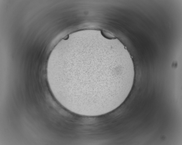 X0000113001382200910081147