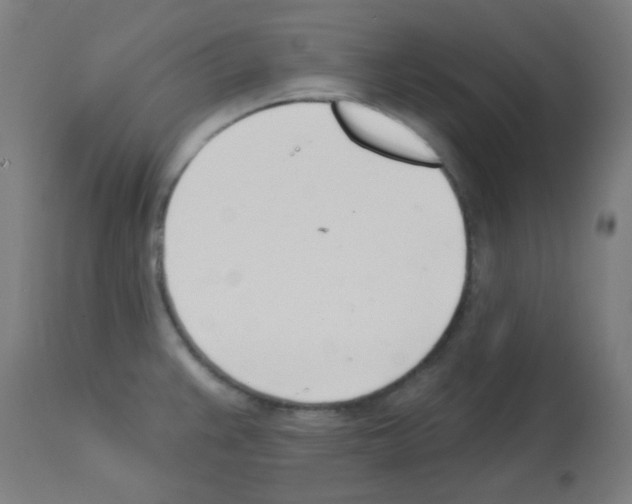 X0000113001383200910081147