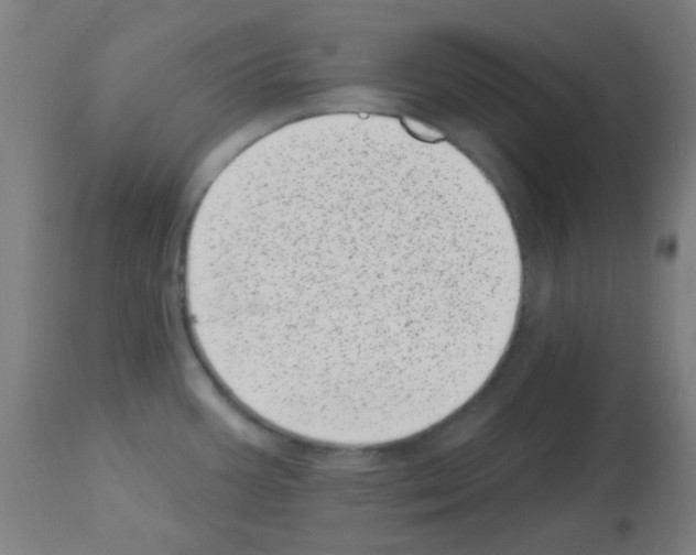 X0000113001387200910081147