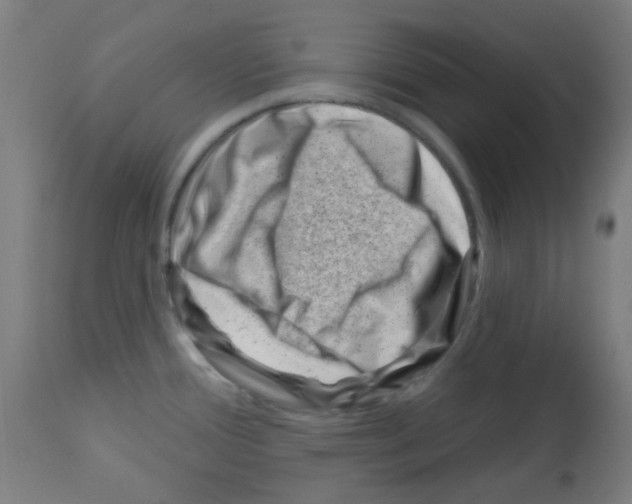 X0000113001388200910081147