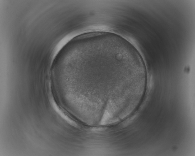 X0000113001389200910081147