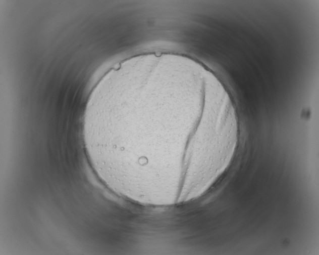 X0000113001390200910081147