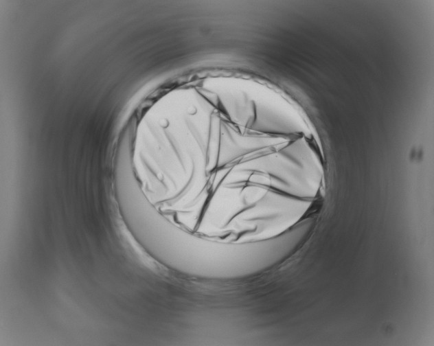 X0000113001392200910081147