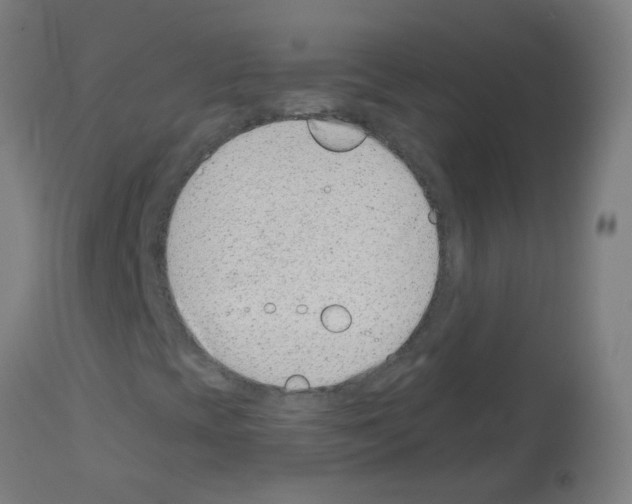 X0000113001393200910081146