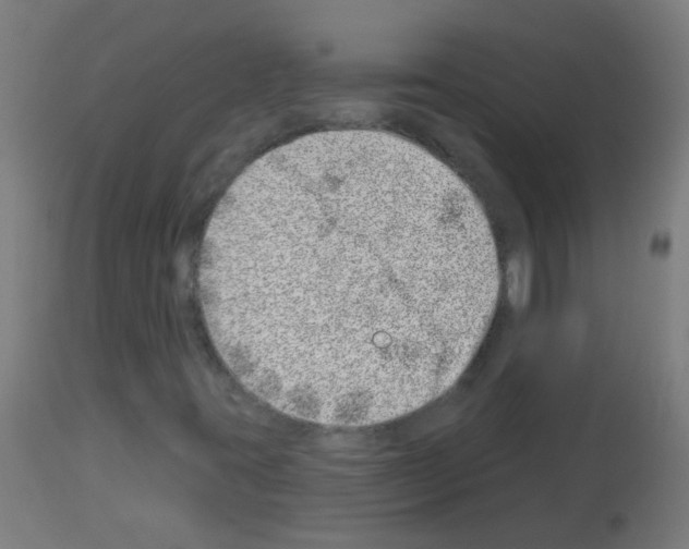 X0000113001395200910081146