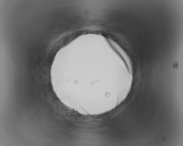 X0000113001398200910081146