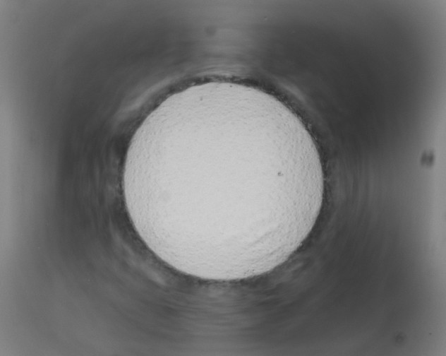 X0000113001399200910081146