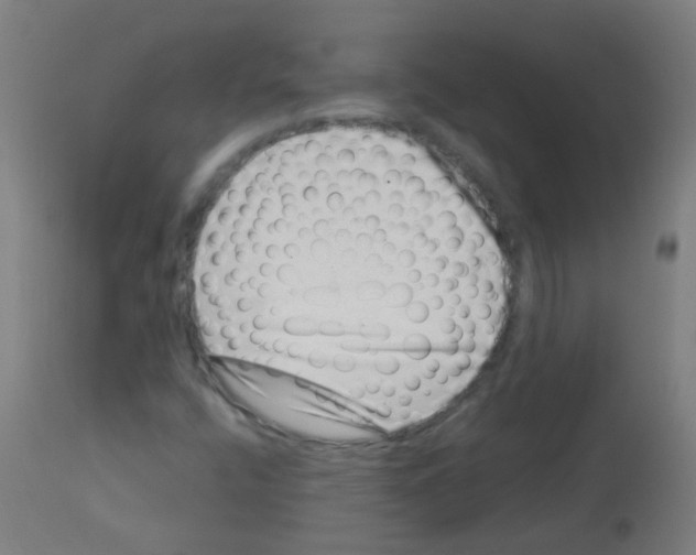 X0000113001400200910081146